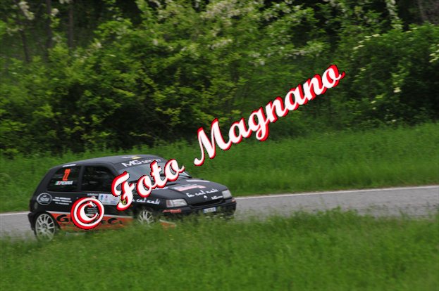 DSC_0294.jpg